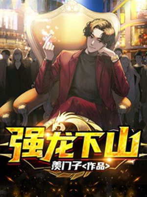 强龙下山小说
