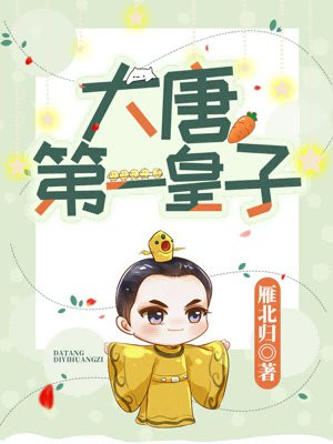 大唐第一皇子李宽的小说
