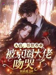 入夜娇软乖乖被京圈大佬吻哭了全文阅读