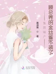 总裁养的金丝雀飞走了