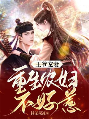 重生王爷溺宠妻