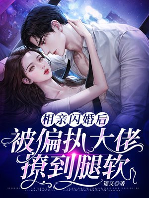相亲后闪婚的小说