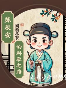 苏辰安的科举之路小说