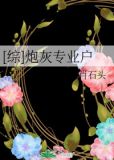 综炮灰专业户 肖石头
