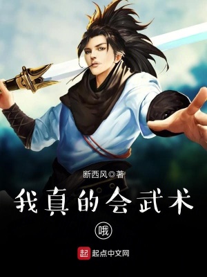 我真的是武术大师