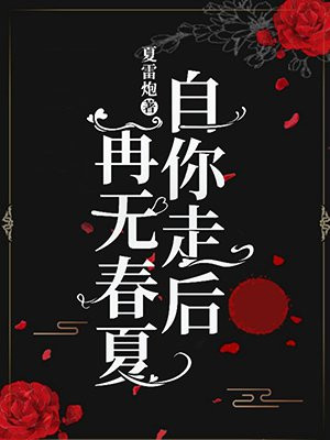 自从你走后再无春夏沈岸
