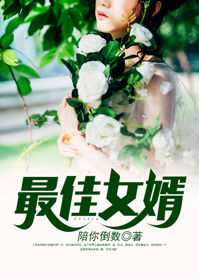 最佳女婿何家荣林羽全集免费阅读