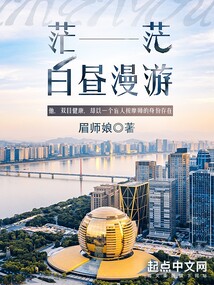 茫茫白昼漫游读后感