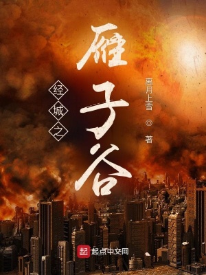 经城之雁子谷 txt 百度网盘