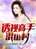 透视高手混山村小说