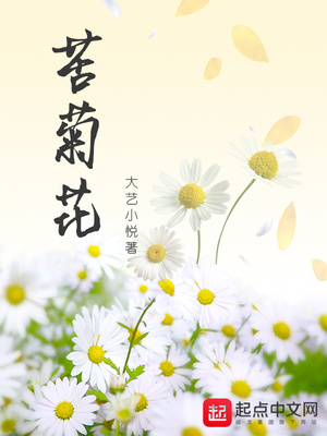 苦菊花图片