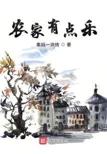 农家有点乐讲的什么