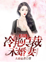 我的冷艳总裁未婚妻 小说