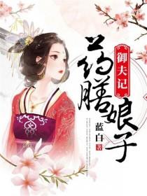 药膳娘子御夫记txt网盘