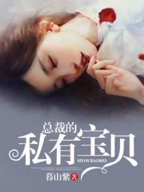 总裁的私有宝贝小说免费阅读