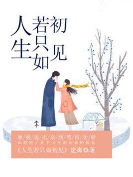 人生若只如初见歌词