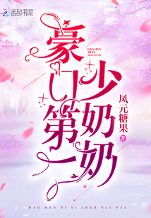 豪门第一少奶奶 小说