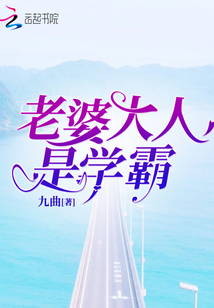 老婆大人是学霸小说