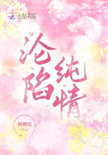 陷入纯情编剧