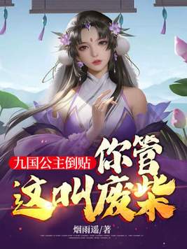 九公主是什么小说