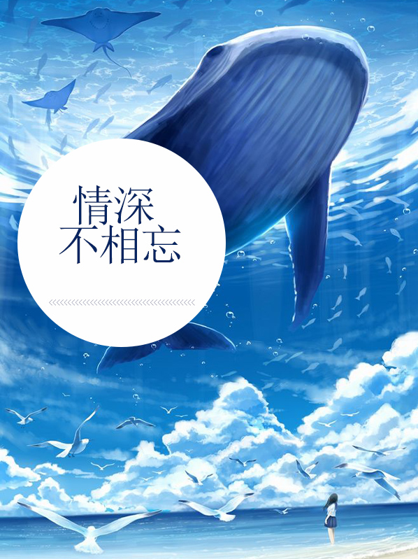 情深不相许小说全文免费阅读