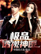 极品透视神医叶开