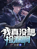 我真没想捡漏啊小说