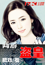网游之盗贼 小说