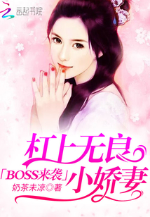 杠上无良王妃免费阅读
