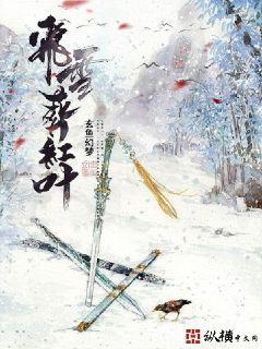 飞雪葬红叶小说