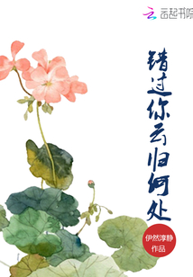 云归何处寻全文免费阅读