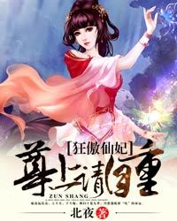 傲尊狂神 小说