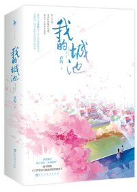我的城池营垒电视剧免费