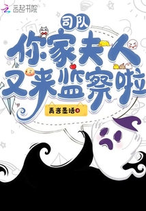 小说司令夫人