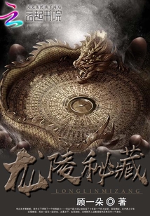 龙陵秘藏小说