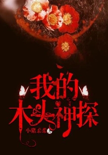 我的木头神探TXT