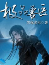 极品乡村兽医小说