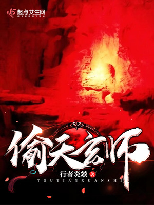 偷天小说百科