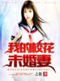 我的校花未婚妻(南京南)