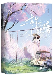 一枚小软糖笔趣阁