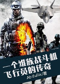 一个维族战斗机飞行员的传奇 小说
