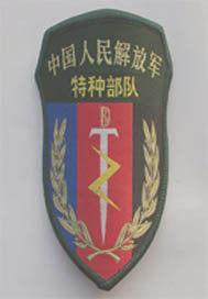 你的青春我的军营小说