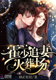 霍少追妻火葬场电视剧