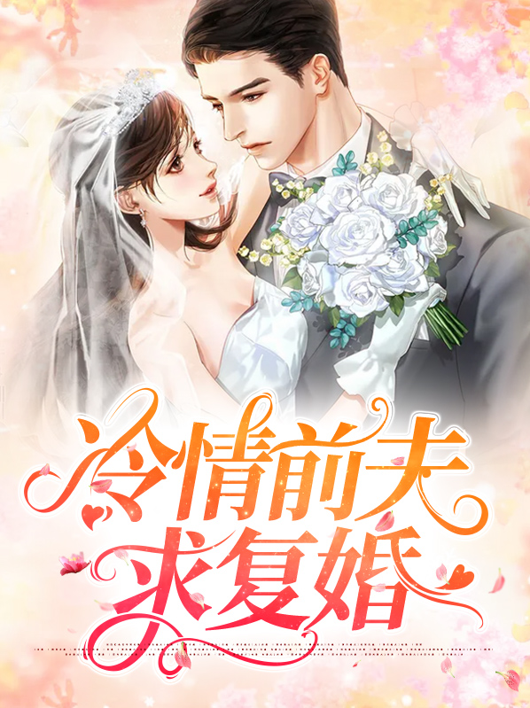 电视剧前夫哭着求复婚