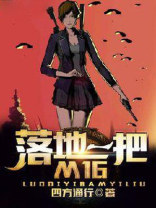 落地一把M16 小说