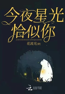 今夜星光似往年完结版