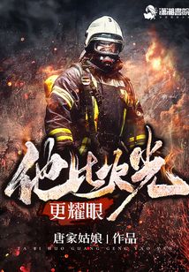 他比火光更耀眼小说晋江