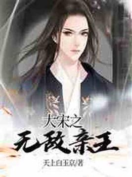 大宋之无敌亲王 天上白玉京
