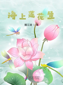 海上莲开解释