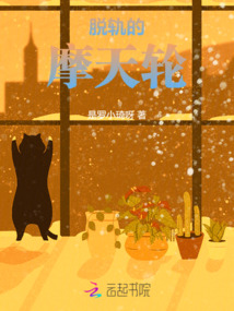 摩天轮坠落事件